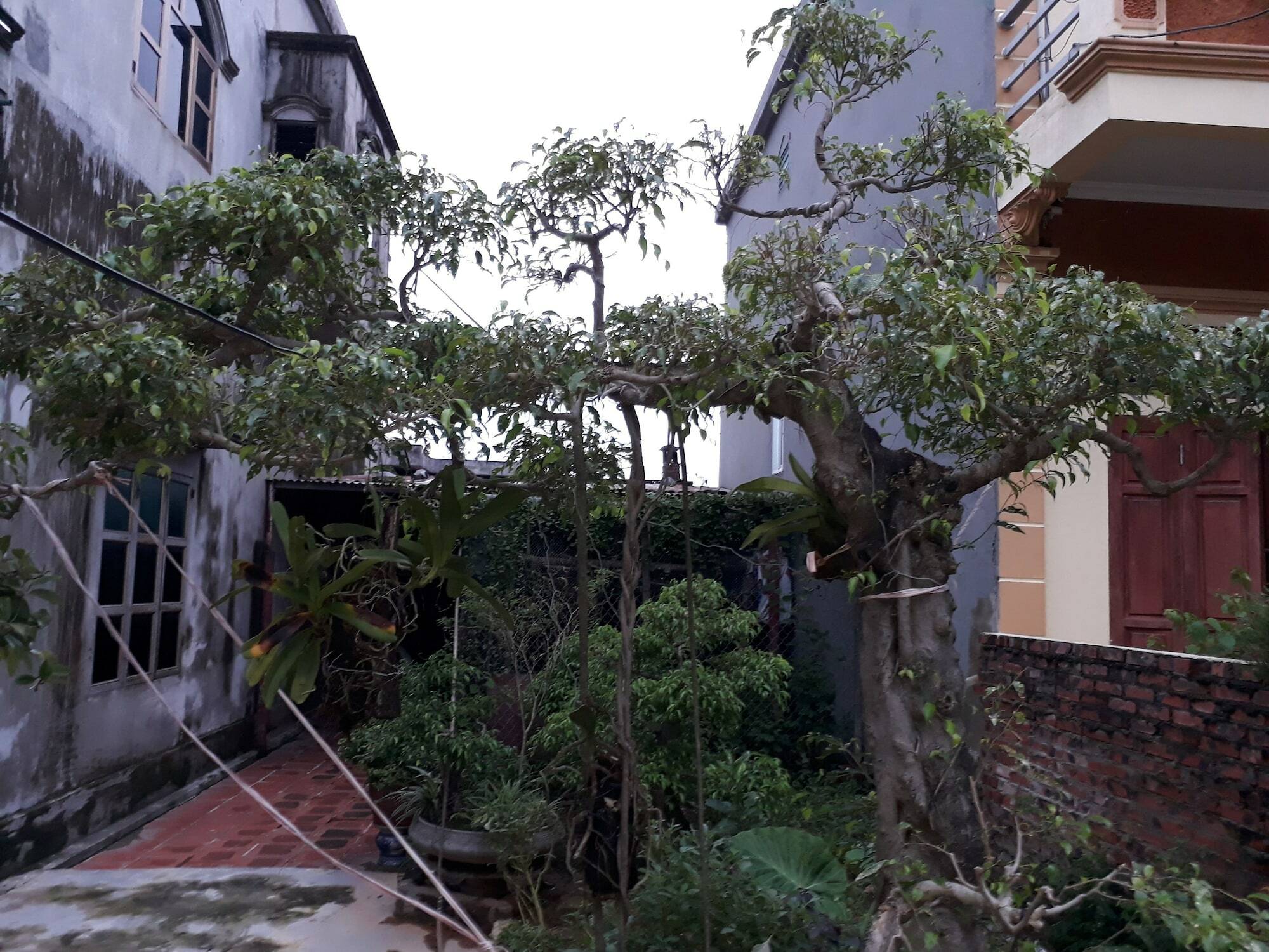 Tam Coc White Swan Homestay Ninh Binh Esterno foto
